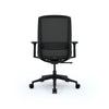 Radius Ergonomic Mesh Task Chair Office Chair, Conference Chair, Meeting Chair Workspace48 