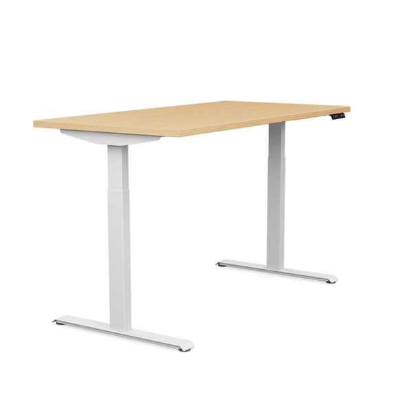 Surge Commercial Grade Electric Sit-Stand Desk | Ergonomic Height Adjustable Table Standing Desk SitOnIt 