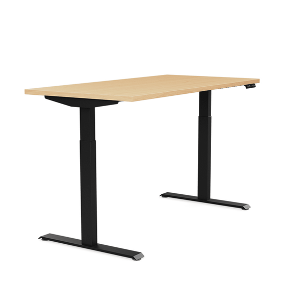 Surge Commercial Grade Electric Sit-Stand Desk | Ergonomic Height Adjustable Table Standing Desk SitOnIt 
